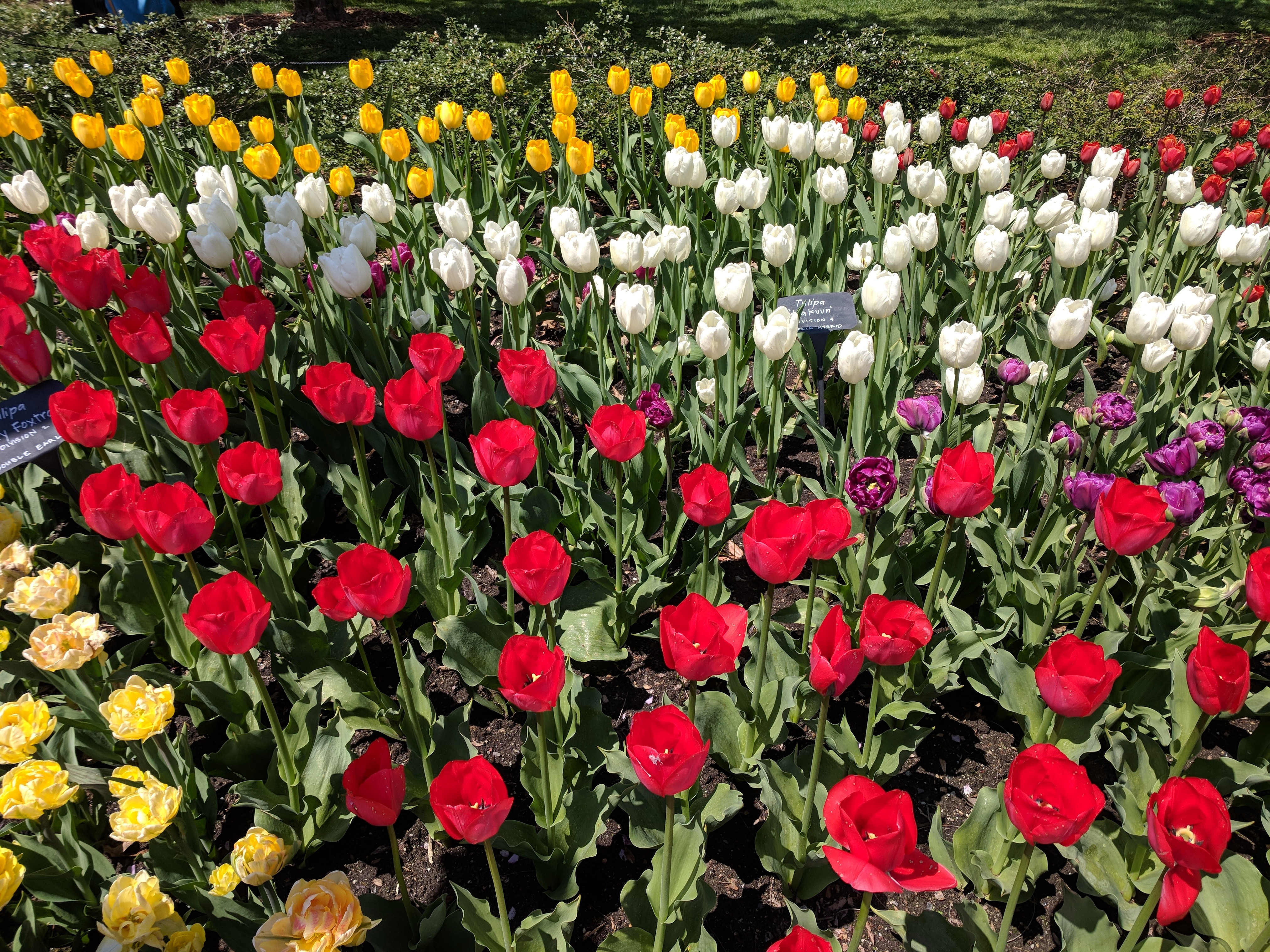 Belgium, Netherlands & Turkey — Coming Soon