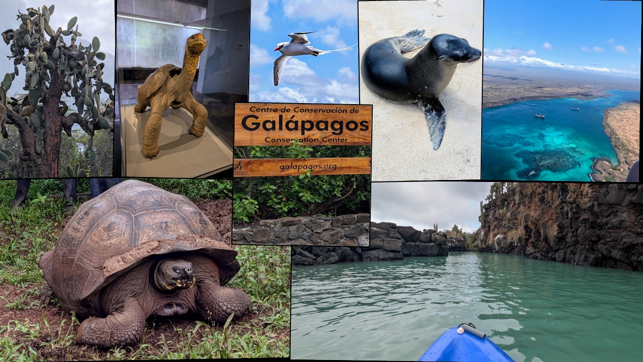 Galapagos
