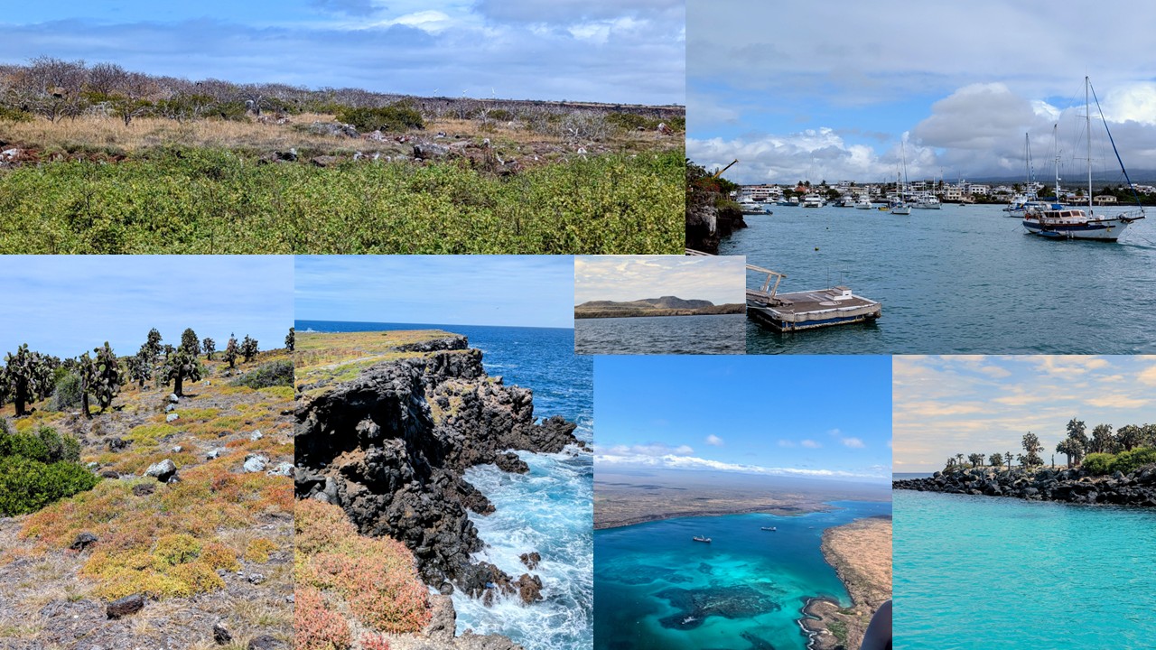 Galápagos