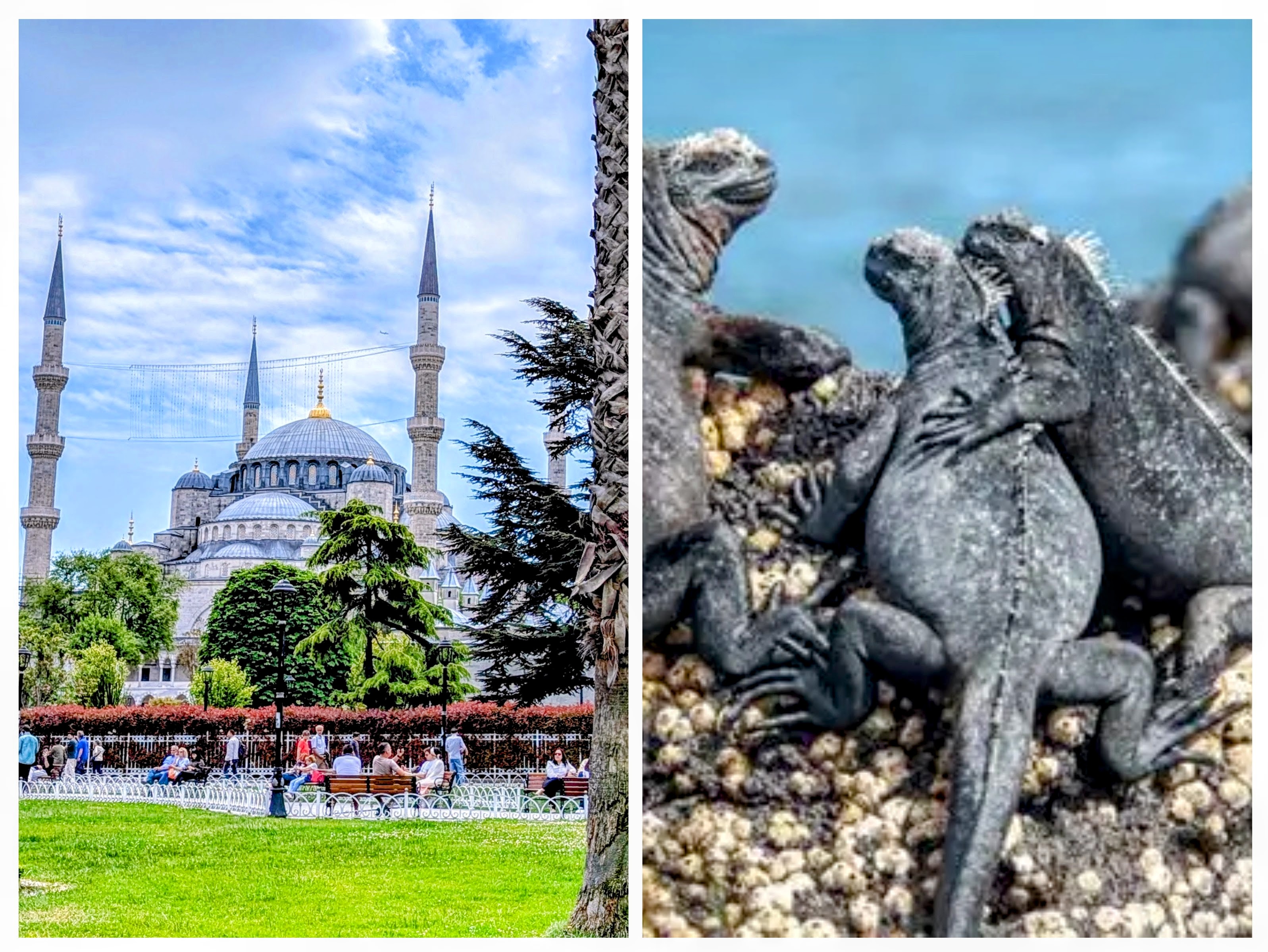 Turkey & Galapagos Islands — Coming Soon