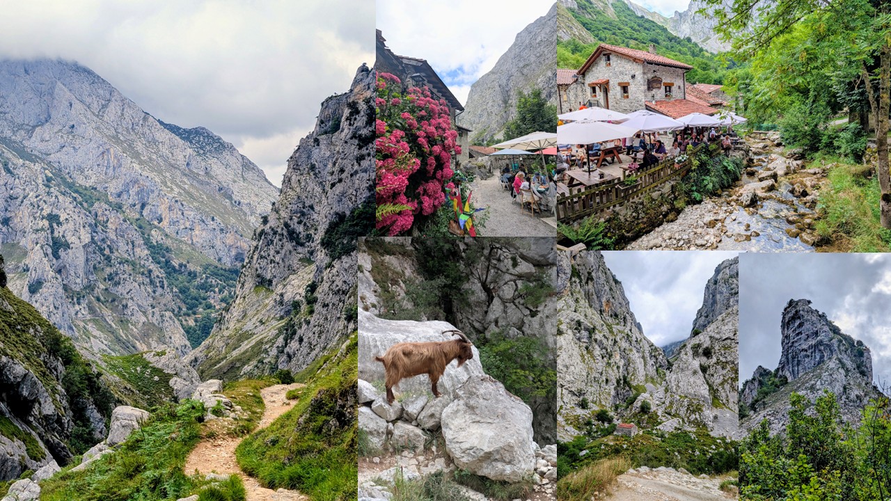 Bulnes